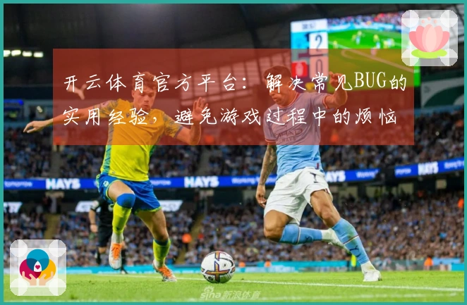 开云体育官方平台：解决常见BUG的实用经验，避免游戏过程中的烦恼
